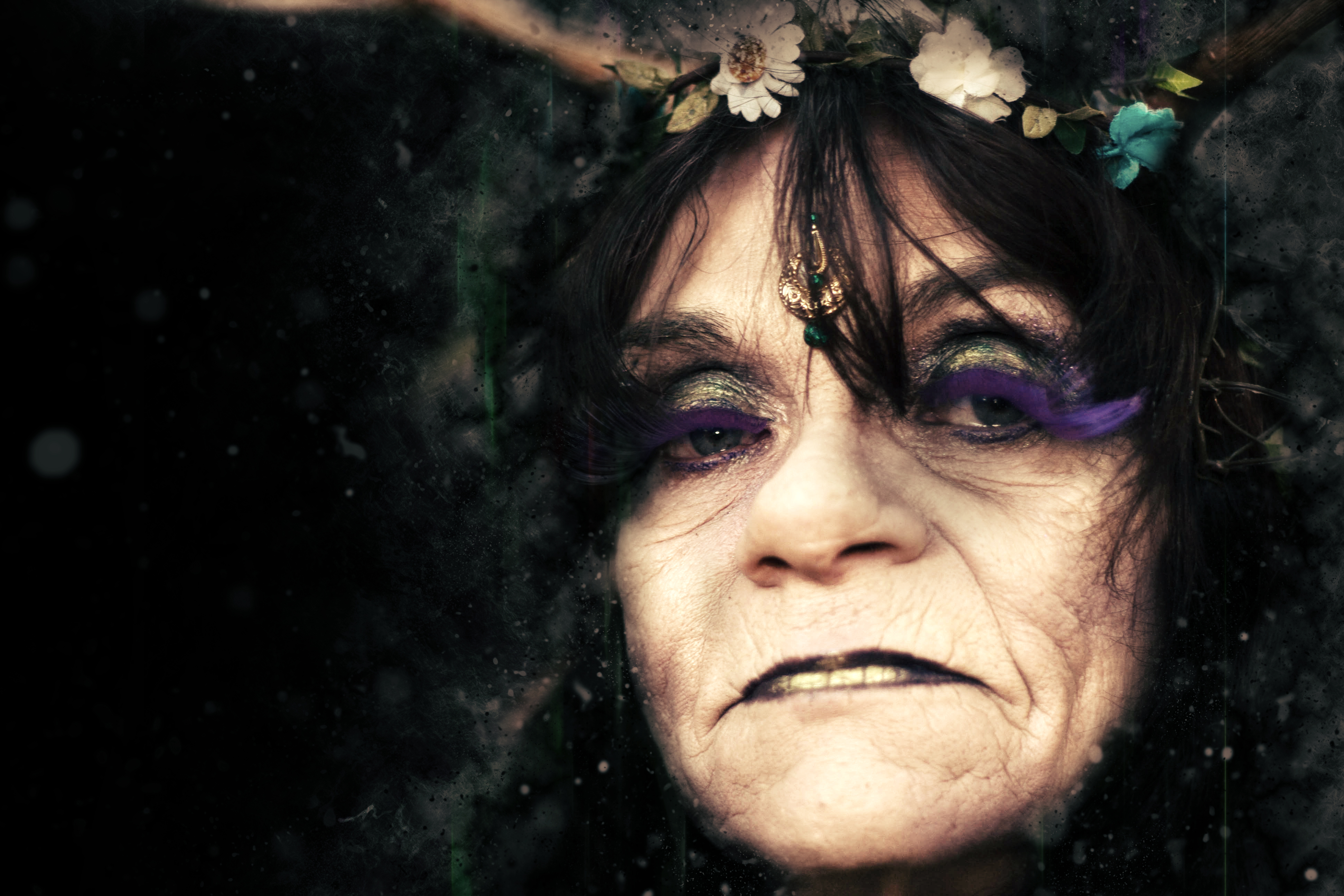 The Evil Fairy