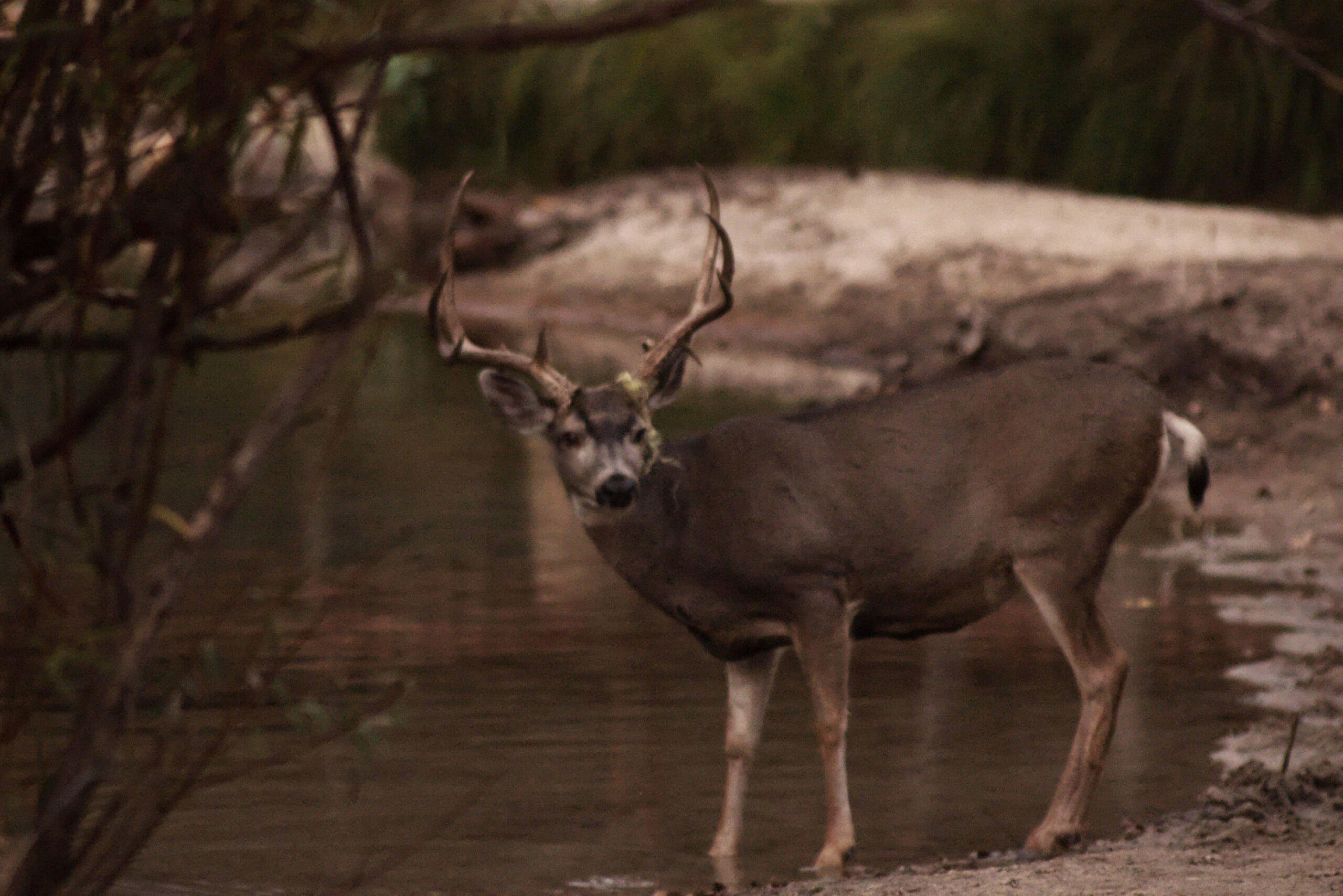 Visiting Yosemite